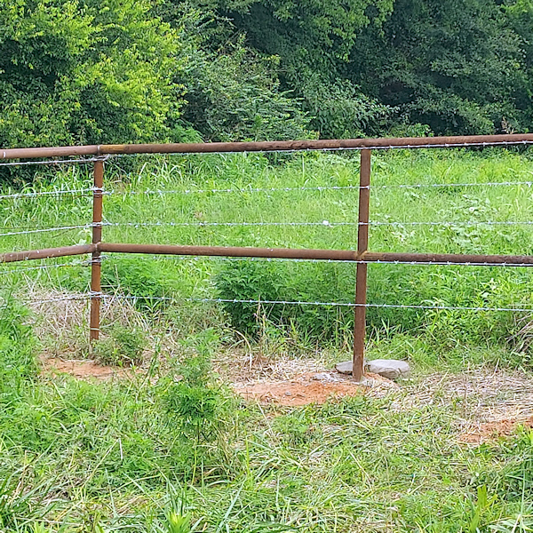 Interior view of the H brace securing a barbed wire fence.