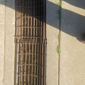 Trench drain